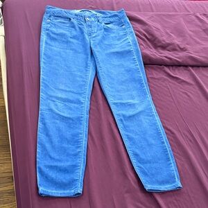 Joe Fresh Classic Blue Women's Jeans